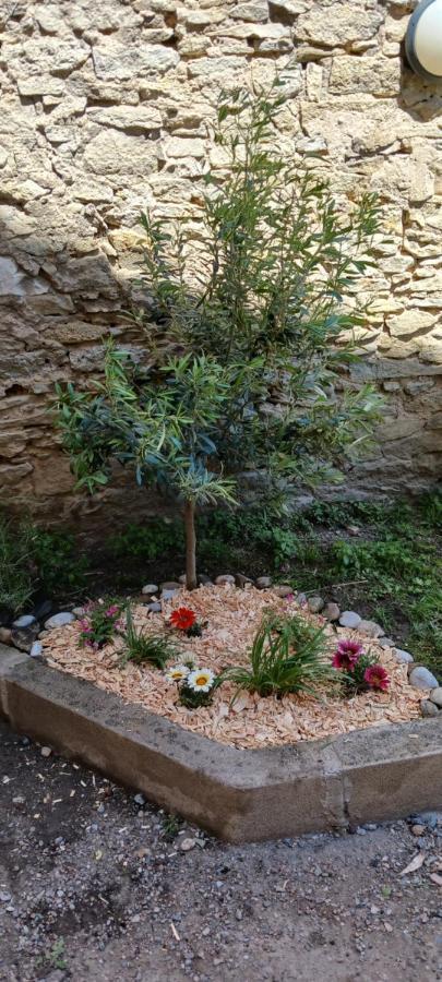 Le 9 De Cour, Chambre Chaco Bed & Breakfast Carcassonne Exterior photo