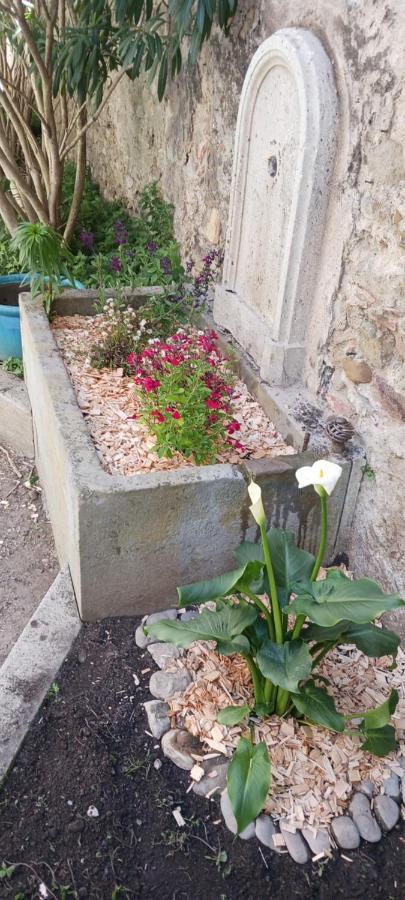 Le 9 De Cour, Chambre Chaco Bed & Breakfast Carcassonne Exterior photo