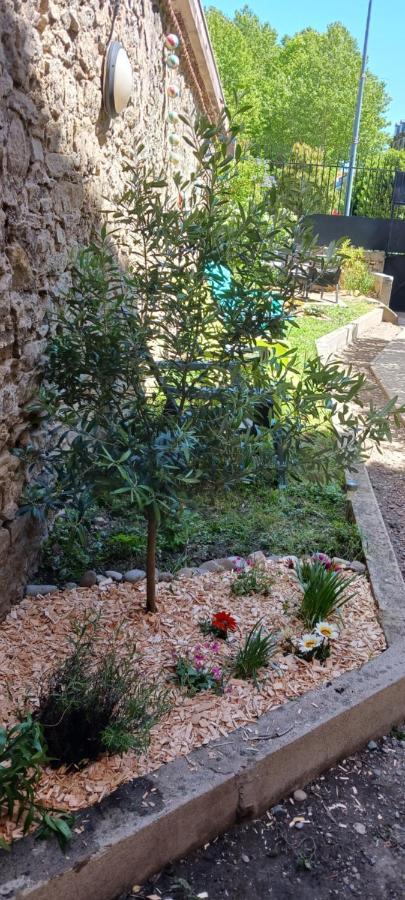 Le 9 De Cour, Chambre Chaco Bed & Breakfast Carcassonne Exterior photo