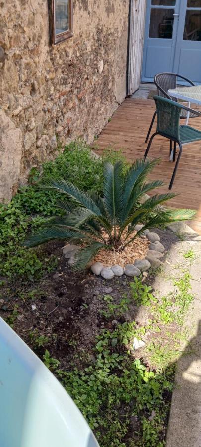 Le 9 De Cour, Chambre Chaco Bed & Breakfast Carcassonne Exterior photo